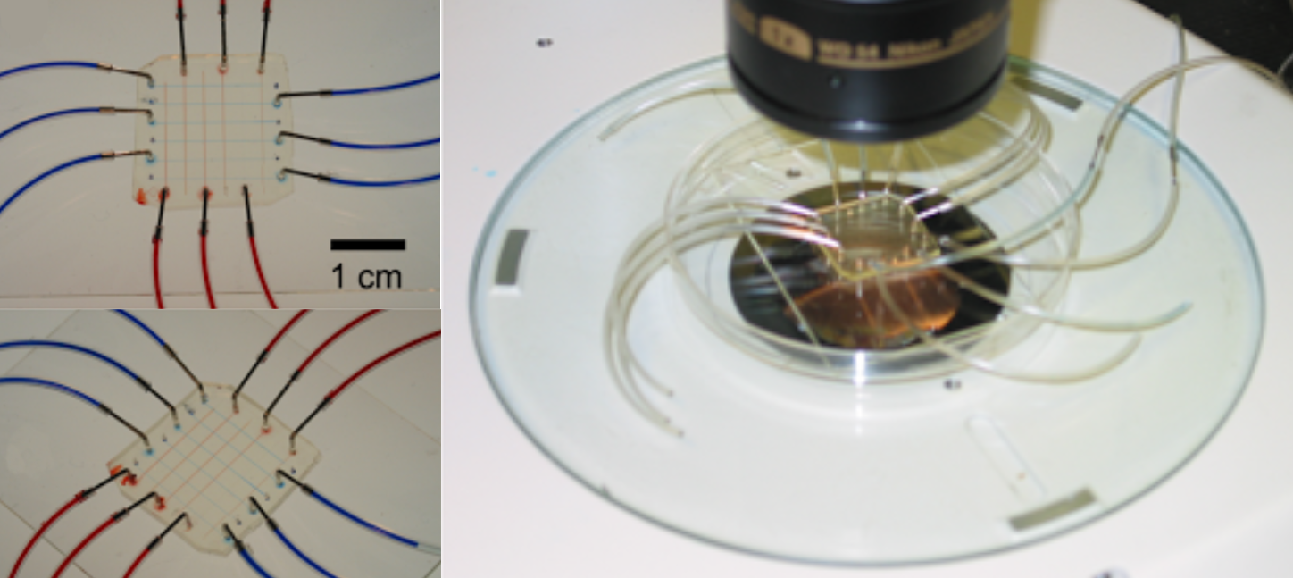 pfpe-teflon-microfluidic-chip